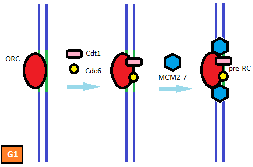 Lesson image