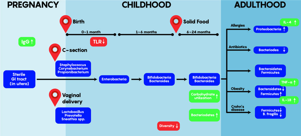 Lesson image