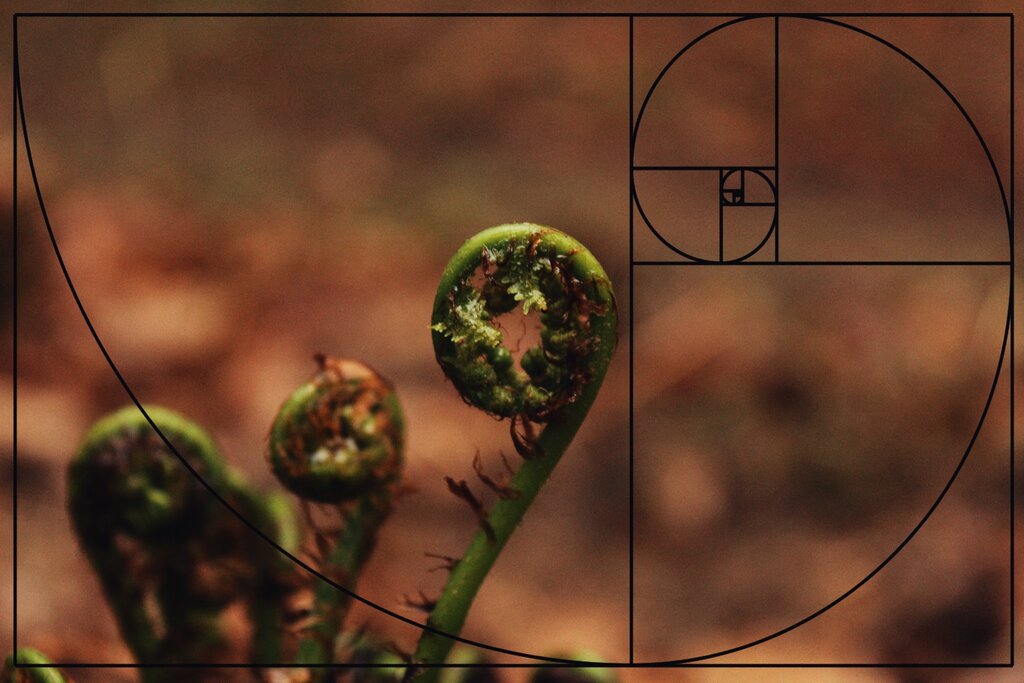 Lesson image