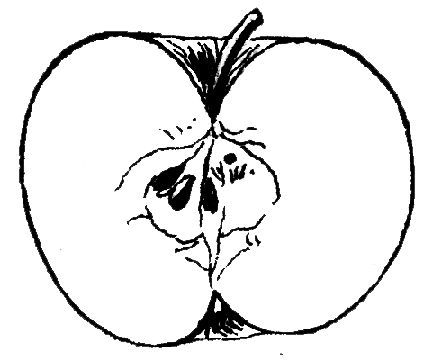 Lesson image