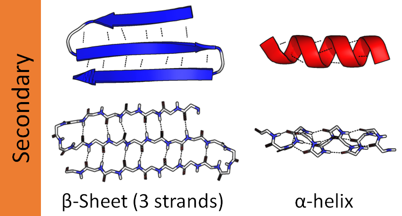Lesson image