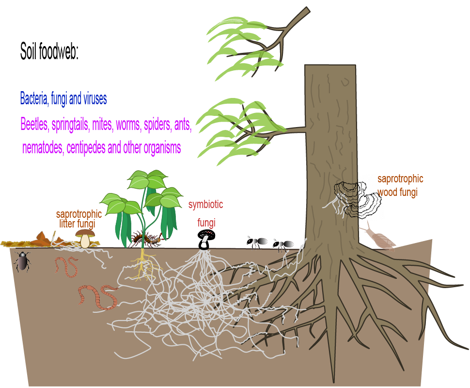 Lesson image