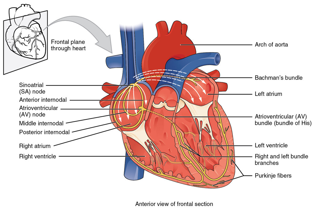 Lesson image