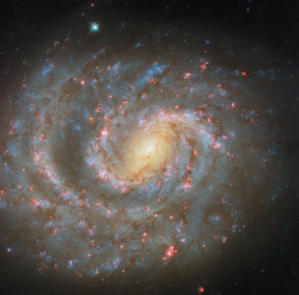 Lesson image