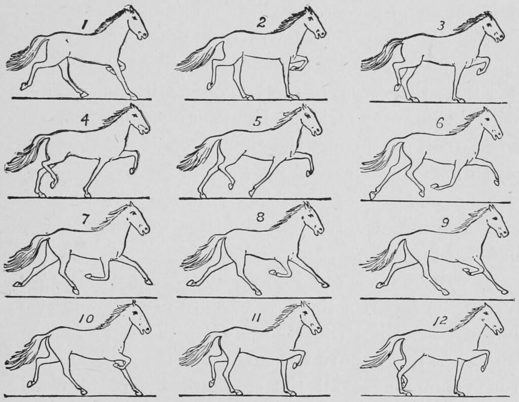 Lesson image