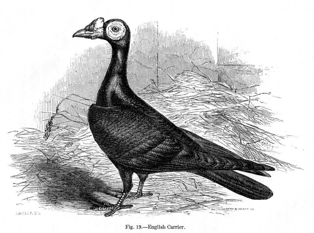 Lesson image