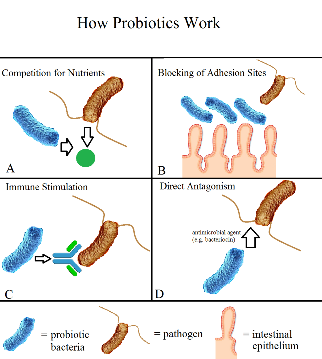 Lesson image