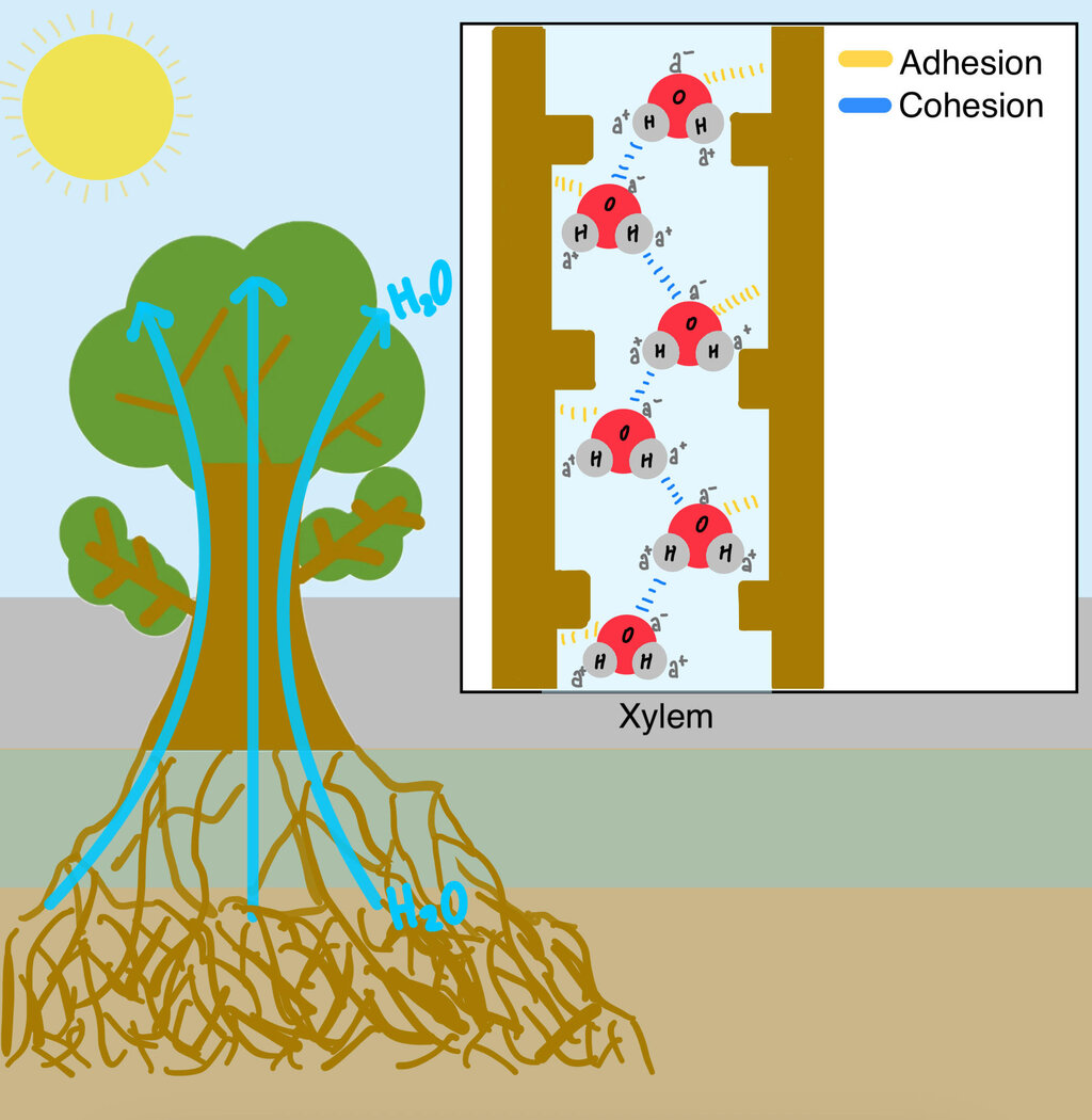 Lesson image