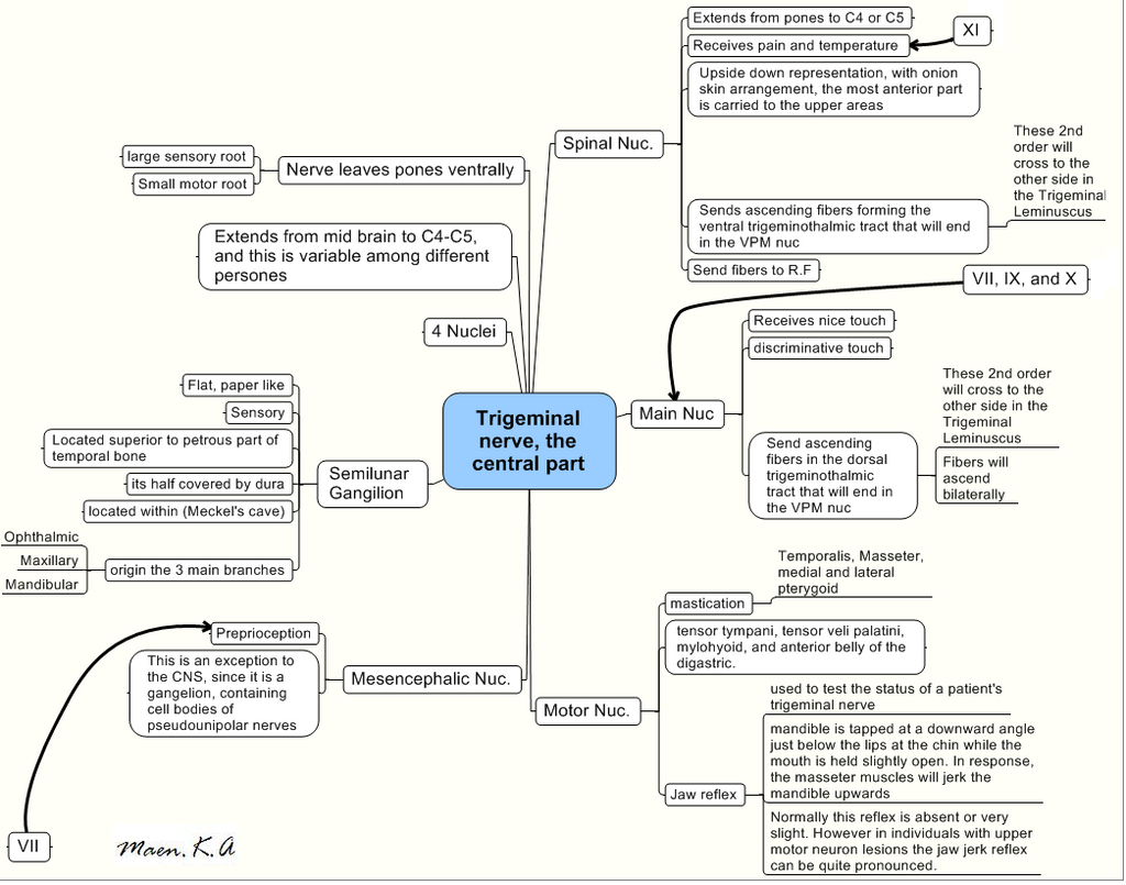 Lesson image