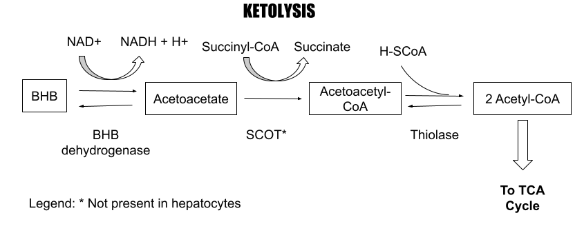 Lesson image