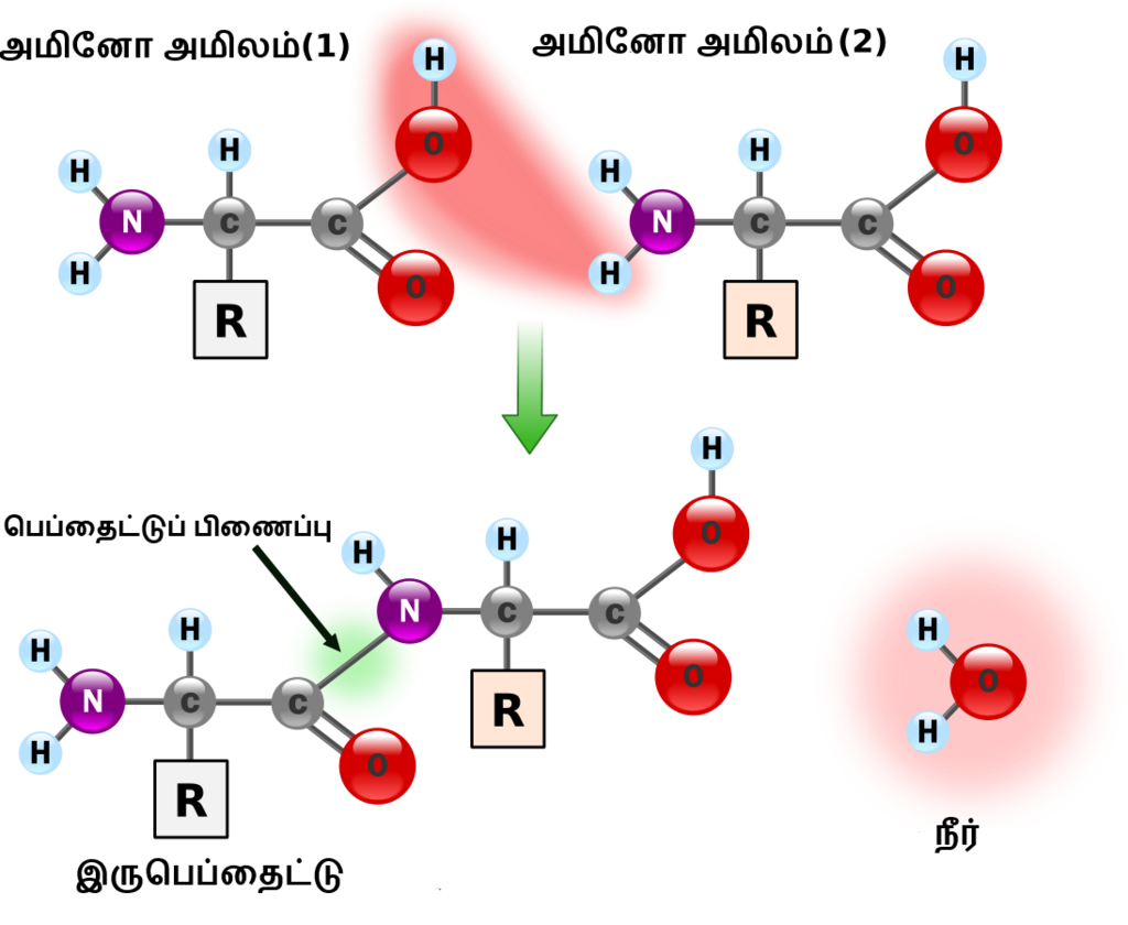 Lesson image