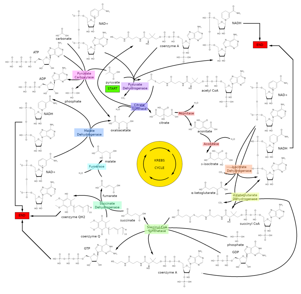 Lesson image