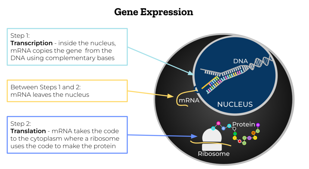 Lesson image