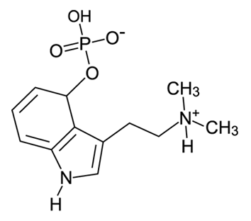 Lesson image