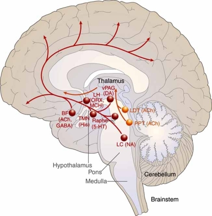 Lesson image