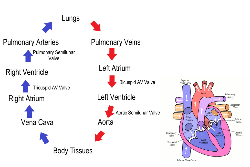 Lesson image