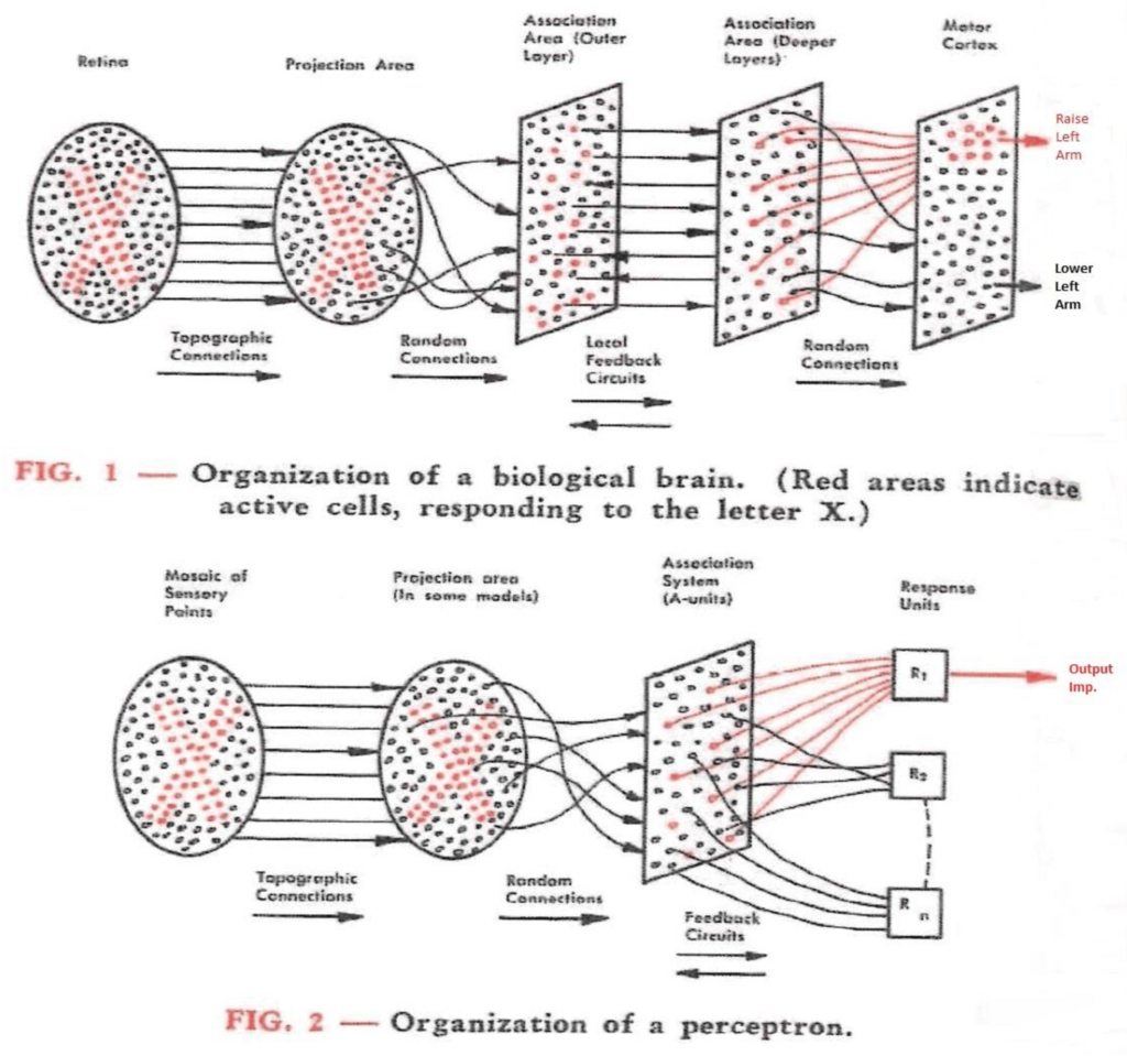 Lesson image