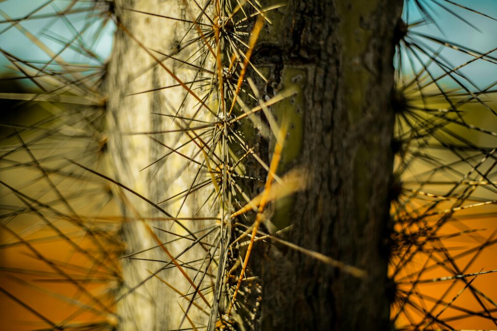 Lesson image