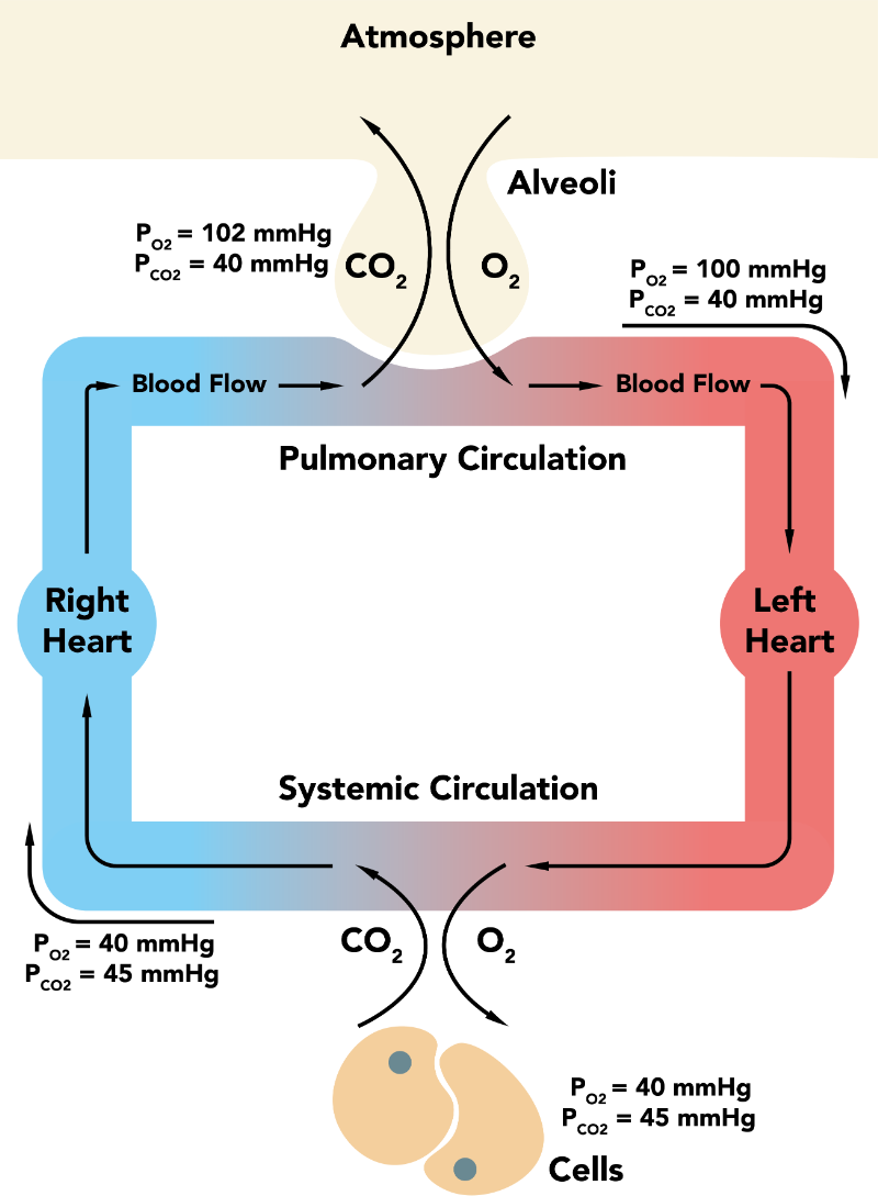 Lesson image