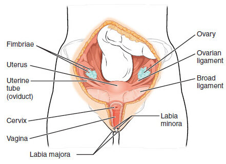 Lesson image